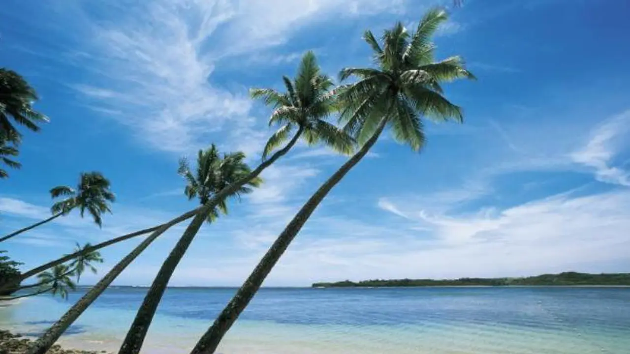 Syok, Pasangan Suami-Istri Temukan Potongan Kepala di Pantai