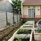 Cara Membuat Kolam Ikan Lele dari Box Styrofoam Bekas di Pekarangan Rumah Subsidi