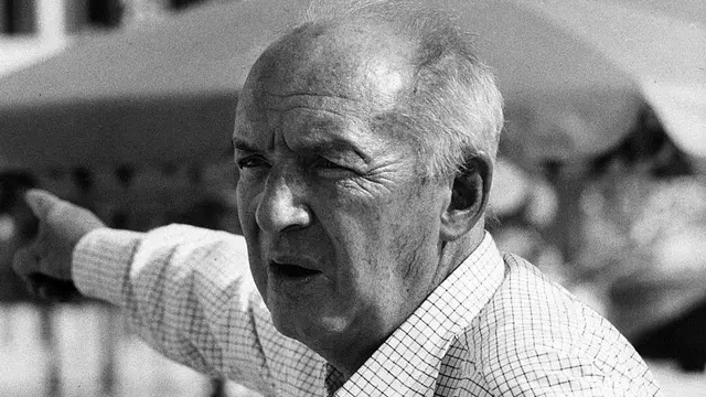 Vladimir Nabokov (wikimedia commons)