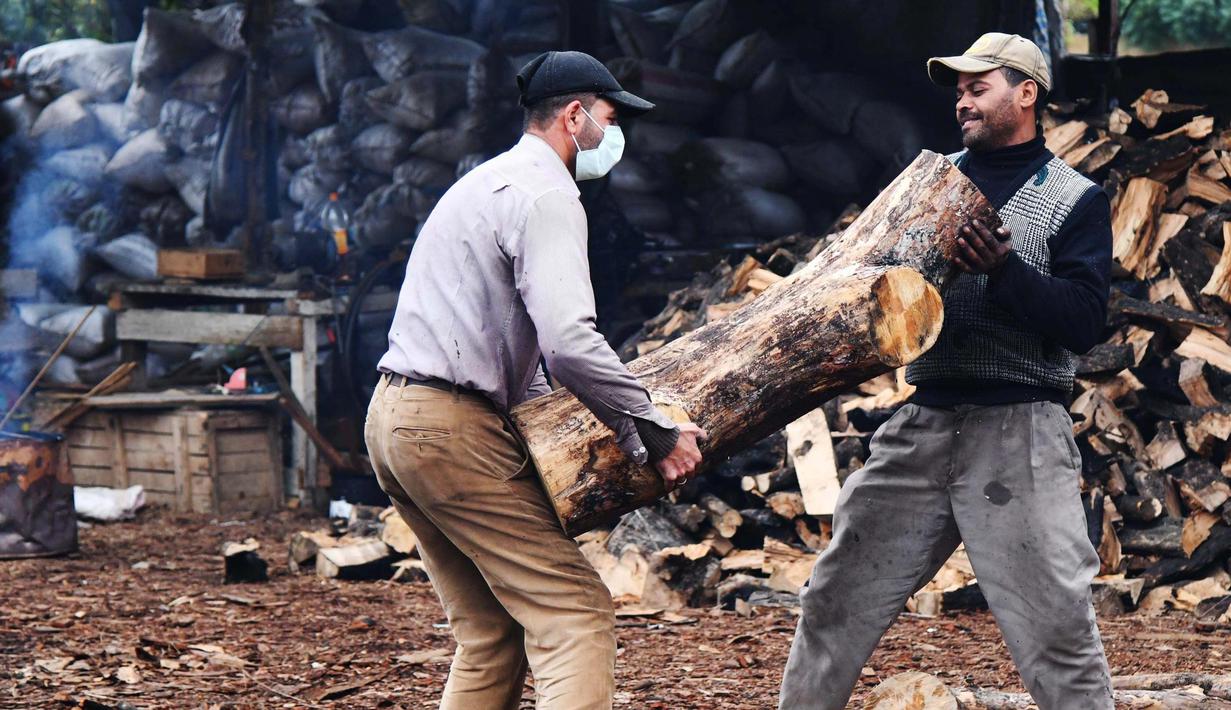 FOTO Warga Suriah Kumpulkan Kayu  Bakar  untuk Hadapi Cuaca 