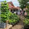 7 Model Tower Hidroponik Murah yang Cocok untuk Pemula, Berkebun Hemat Lahan