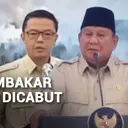 Perusahaan Asing Terancam Kehilangan Izin Jika Terbukti Bakar Hutan