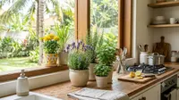 7 Tanaman yang Bisa Diletakkan di Dapur untuk Mengusir Kecoa, Cantik Sekaligus Berguna