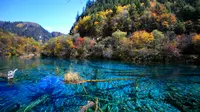 Jiuzhaigou, Lembah dengan Pemandangan Tiada Tanding