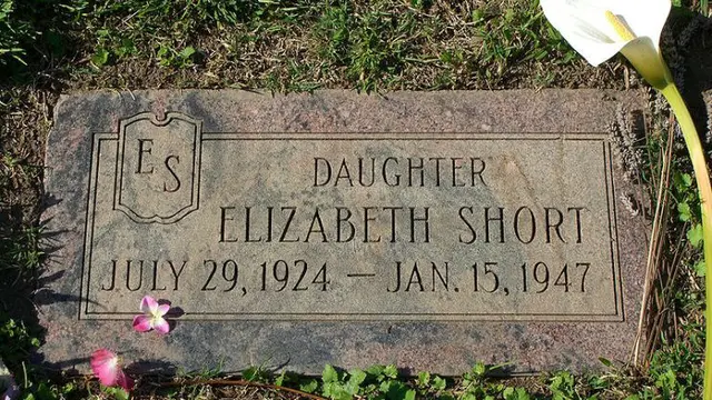 Black Dahlia House 2