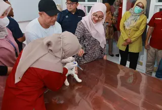 Unair dan Pemkab Banyuwangi Buka Layanan Bedah Hewan, Tangani Tumor hingga Patah Tulang