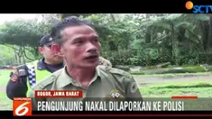 Pihak Taman Safari disarankan untuk segera memeriksa kondisi satwanya.