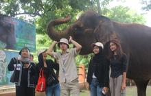 Komitmen Kesejahteraan Satwa: Semarang Zoo Resmi Hentikan Pertunjukan Tunggang Gajah