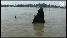 Seekor paus terdampar di pantai di daerah Situbondo, Jawa Timur. Fenomena ini menyedot perhatian warga.