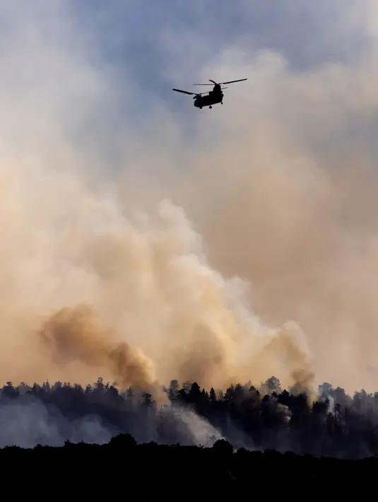 Kebakaran hutan juga membakar puluhan rumah dan meluas hingga 1.000 persen. (ETIENNE LAURENT/AFP)
