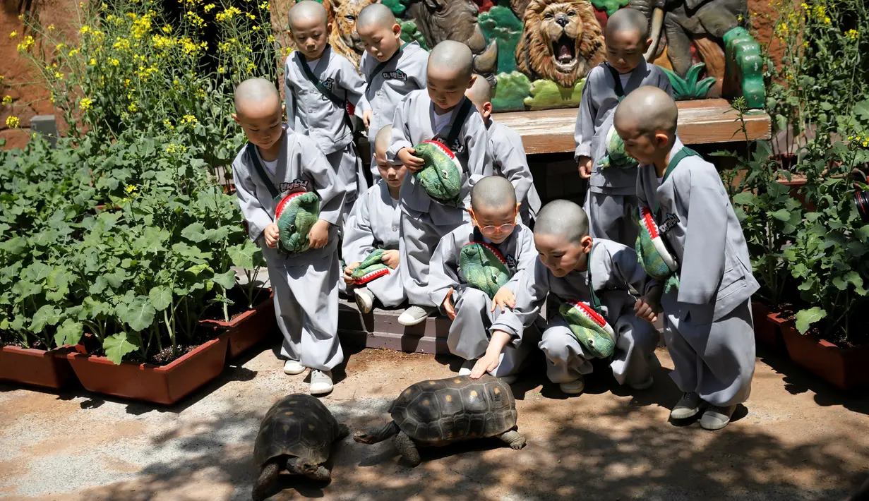 Para biksu cilik bermain dengan kura-kura saat mengunjungi taman hiburan Everland di Yongin, Korea Selatan, Kamis (2/5). Para biksu cilik ini menjalani pendidikan dengan rambut gundul dan jubah biarawan. (REUTERS/Kim Hong-Ji)