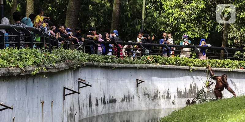 FOTO: Menkmati Libur Lebaran di Taman Margasatwa Ragunan