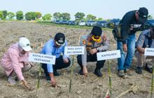 Pemkab Deli Serdang dan Polres Pelabuhan Belawan Perkuat Sinergi Ketahanan Pangan Lewat Tanam Jagung Serentak
