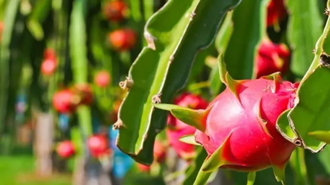 Foto : Copyright Thinkstockphotos.com