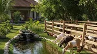 7 Inspirasi Kolam Ikan Mini di Pekarangan Rumah yang Airnya Bisa Dimanfaatkan untuk Minum Ternak