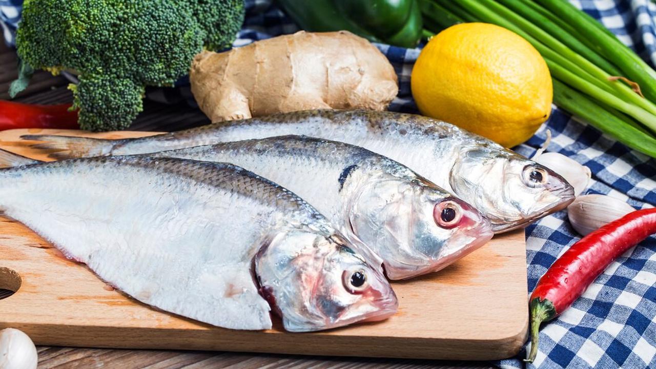 Ilustrasi ikan segar/source: freepik