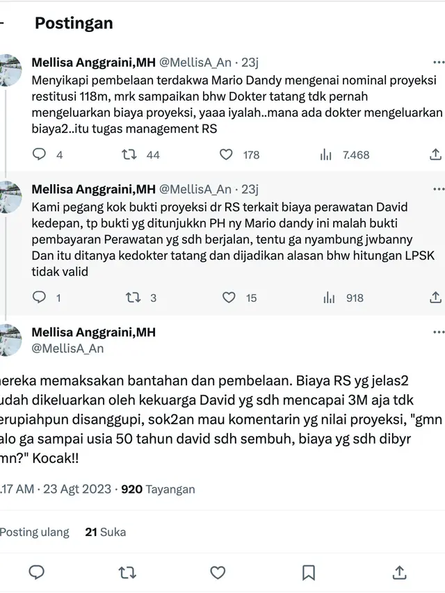 Pernyataan sikap pengacara David Ozora, Mellisa Anggraini, terkait pembelaan Mario Dandy Satriyo dalam sidang pekan ini. (Foto: Dok. Twitter @MellisA_An)