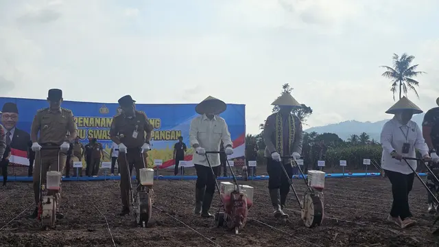 Menteri Koordinator Bidang Pangan, Zulkifli Hasan (Zulhas) saat mengikuti kegiatan penanaman dan panen jagung di daerah Panengahan, Lampung Selatan, Selasa (2/12/2025).