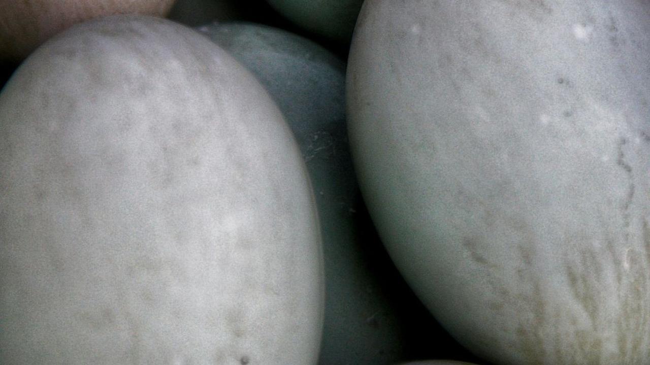 Cara Bikin Telur Asin dengan Abu Gosok