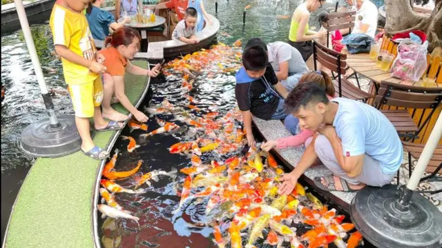 Kafe ikan koi di Ho Chi Minh Vietnam