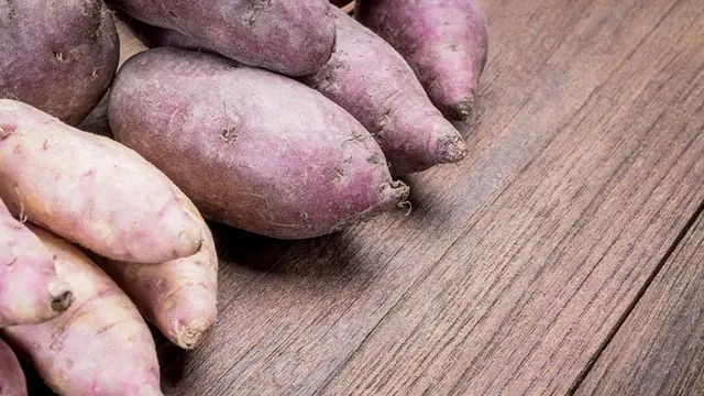 Ubi Jalar Bisa Sembuhkan Asam Urat?