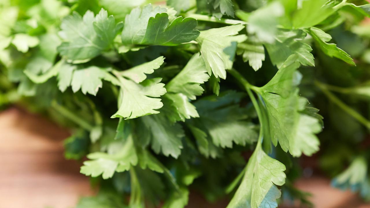 Parsley/unsplash David