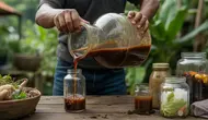Cara Fermentasi Pupuk Organik Cair yang Benar, Panduan Lengkap dari Bahan hingga Aplikasi