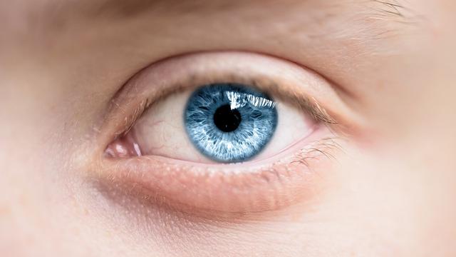 Ilustrasi mata