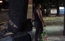 Penebangan Pohon Ilegal di Kebayoran Lama: Jaksel Pastikan Tak Ada Izin, Oknum ASN Diduga Terlibat