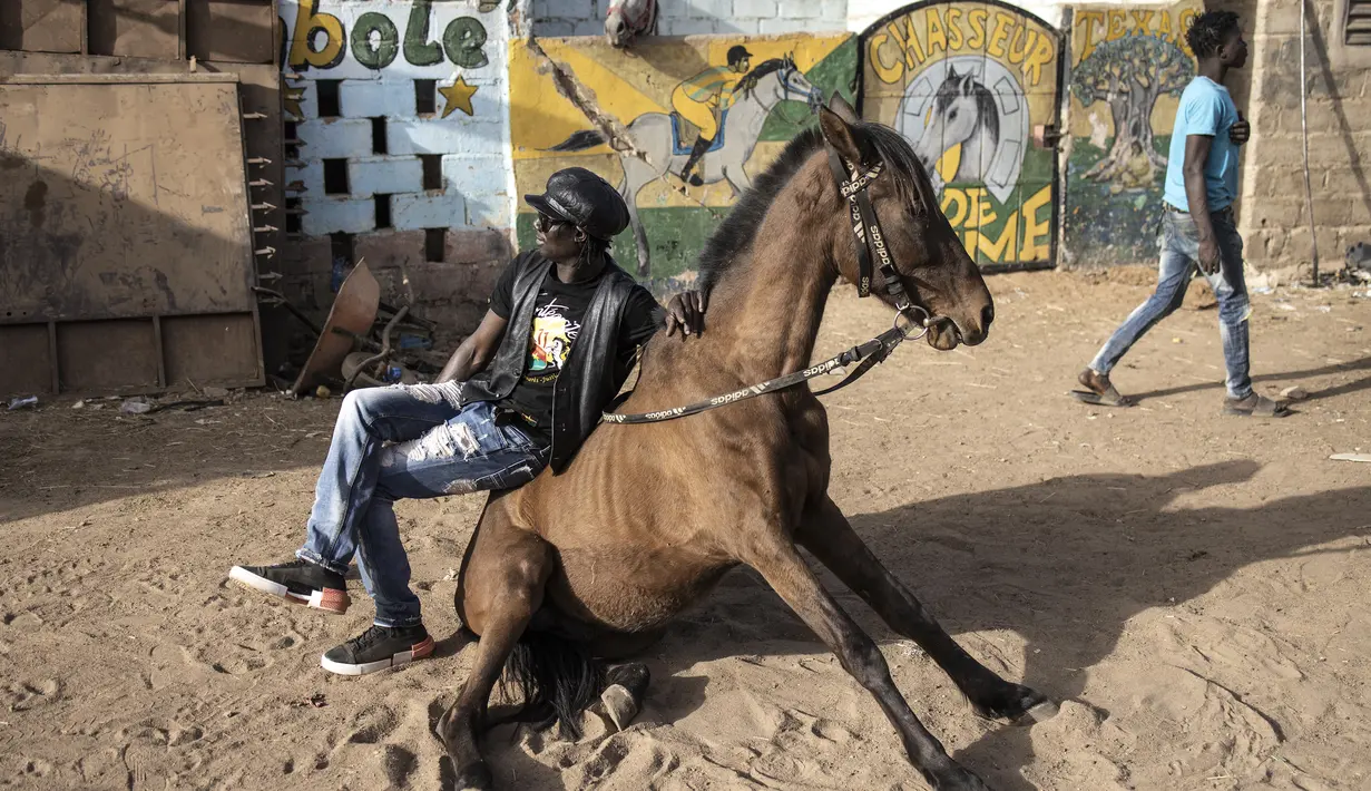 Faso Alli (kiri) berpose dengan salah satu kudanya di Ouagadougou (1/2/2022). Bagi banyak orang, budaya kuda Burkinabe memainkan peran penting dalam kehidupan mereka, mulai dari memelihara kuda untuk balap atau berpakaian, atau hingga pacuan kuda hari Minggu. acara di trek lokal. (AFP/John Wessels)