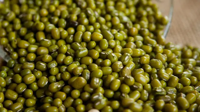 Kacang Hijau