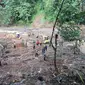 Selain mengungkap korban longsor Purworejo, tim SAR gabungan juga menemukan dua korban longsor di Kebumen. (Liputan6.com/Edhie Prayitno Ige)