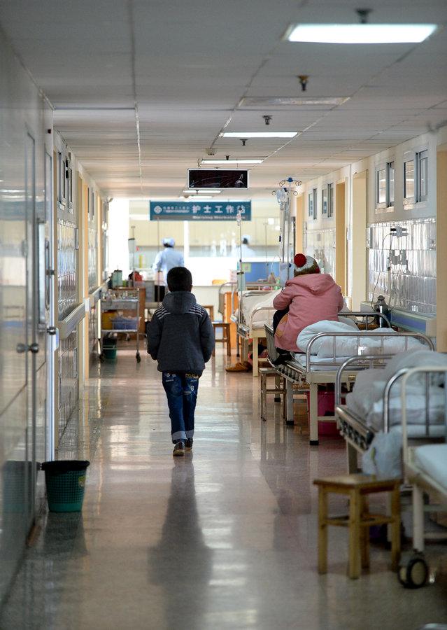 Daiwen menuju ruang transfusi | foto: copyright chinadaily.com.cn