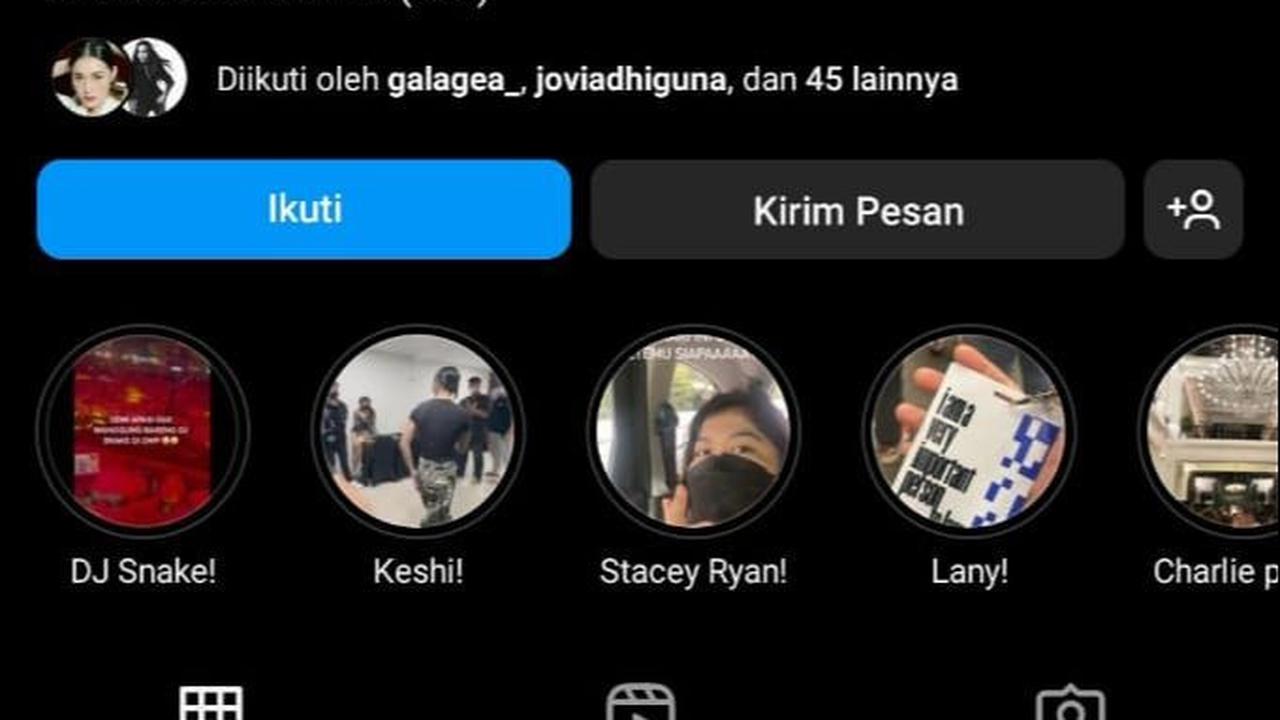 Sementara di Instagram @tutorialhidub, Aul mendapatkan 392 ribu pengikut. Akunnya pun sudah mendapatkan centang biru atau terverifikasi.<br>