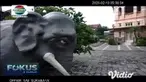 Landmark baru milik Kabupaten Gresik sempat viral di media sosial (medsos) lantaran menjadi bahan cibiran. Saat dikonfirmasi kepada Pemkab Gresik, ikon Gajah Mungkur memang sengaja dipilih jadi landmark Kota Pudak di Simpang Perlimaan Sukorame.