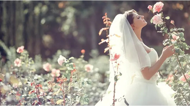 Photo: Copyright Thinkstockphotos.com