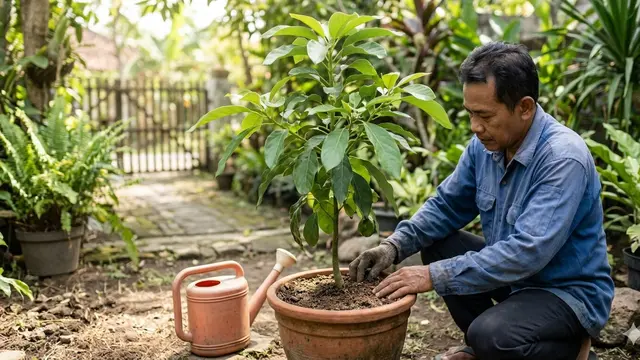 Cara Membuat Pohon Alpukat Stres agar Cepat Berbuah (Foto: Gemini AI)