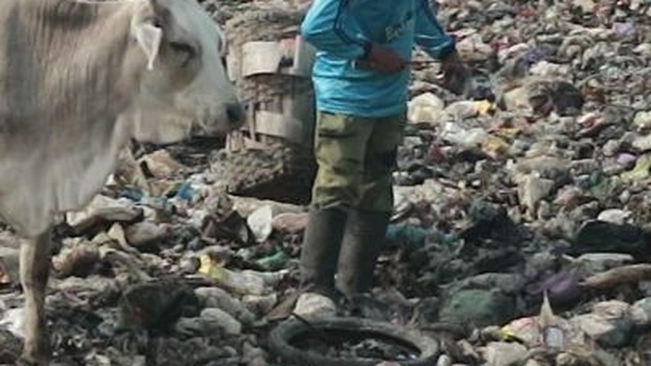 Mengantisipasi penutupan TPA Piyungan ini, Gubernur DIY Sri Sultan HB X menyiapkan lahan penampungan sampah di Kecamatan Cangkringan, Sleman. Lahan yang disiapkan ini berstatus Sultan Ground dan memiliki luas 2 hektare.