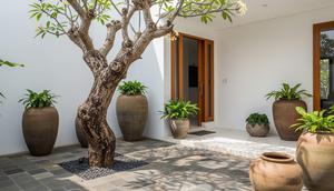 Teras Tropis Minimalis dengan Kamboja Semi Fosil. Foto: Gemini