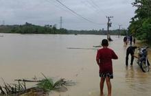 Dampak Banjir Aceh Timur: Kerugian Perikanan Capai Rp2,64 Triliun, Ribuan Tambak Rusak Parah