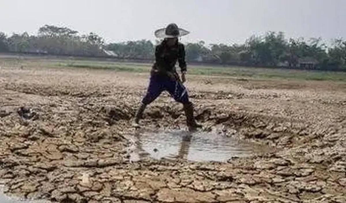 Kepala Badan Meteorologi, Klimatologi, dan Geofisika (BMKG) Dwikorita Karnawati mengungkap alasan modifikasi cuaca tidak bisa dilakukan di Provinsi Papua Tengah yang mengalami kekeringan parah.