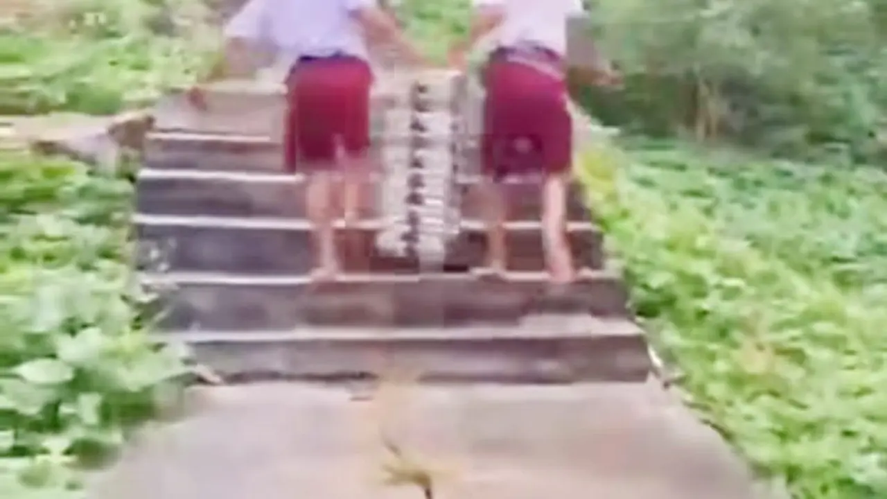 Viral Siswa SD di Nias Selatan Angkut Omprengan MBG Lewati Jalan Curam