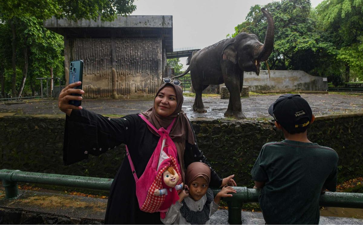 Ragunan Dibanjiri Puluhan Ribu Pengunjung di Hari Kedua Lebaran
