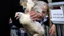 Seorang pria Yahudi ultra-Ortodoks memegang ayam untuk diayunkan di atas kepala keluarganya sebagai bagian dari ritual Kaparot di Yerusalem, Rabu (23/9/2020). Ayam ini kemudian akan disembelih menjadi pengganti seseorang tersebut sebagai penebusan untuk dosa-dosanya.  (AP Photo/Maya Alleruzzo)