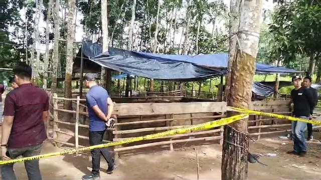 Tempat kejadian perkara (TKP) tewasnya 3 anggota Polres Way Kanan tertembak saat menggrebek judi saabung ayam di Kampung Karang Manik, Kecamatan Negara Batin. Foto : (Istimewa).