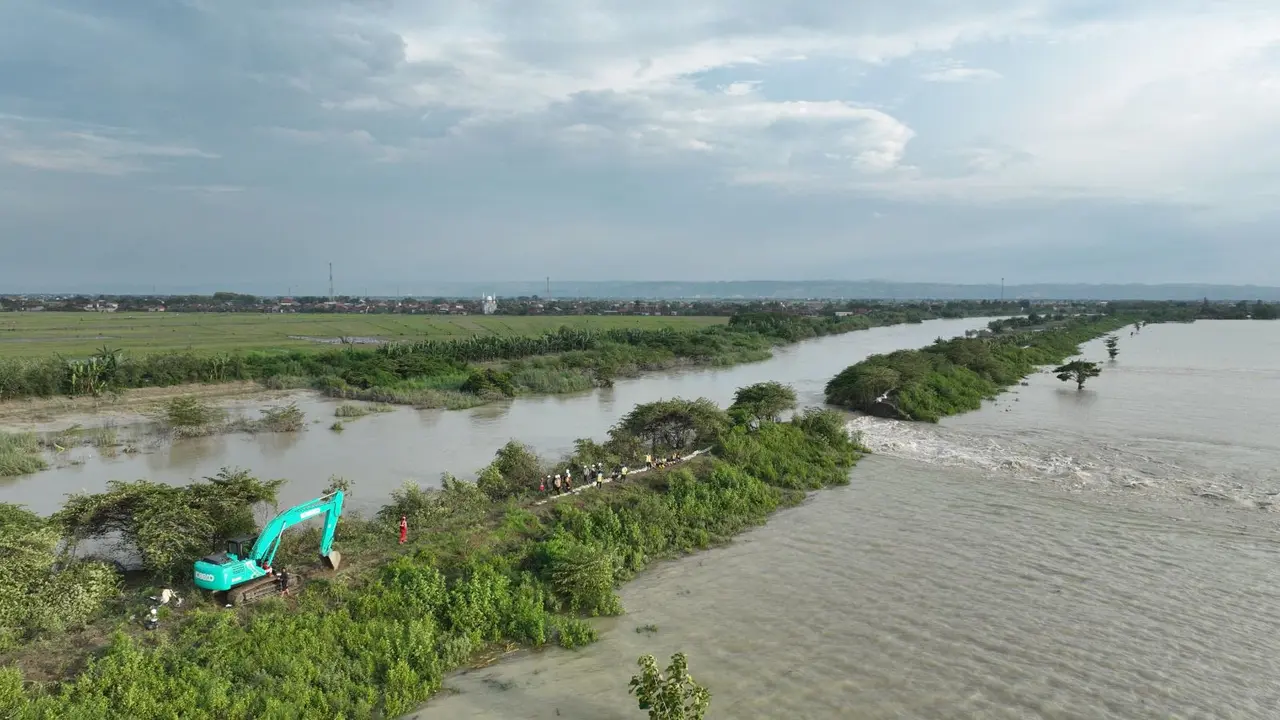 PT Wijaya Karya Tbk (WIKA) tambal tanggul Sungai Wulan (Foto: Wijaya Karya)