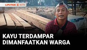Banjir bandang yang melanda Kota Padang, Sumatra Barat, membawa limbah kayu yang diduga dari hasil penebangan liar. Kayu yang terdampar di muara sungai dimanfaatkan warga untuk kayu bakar dan bahan bangunan.