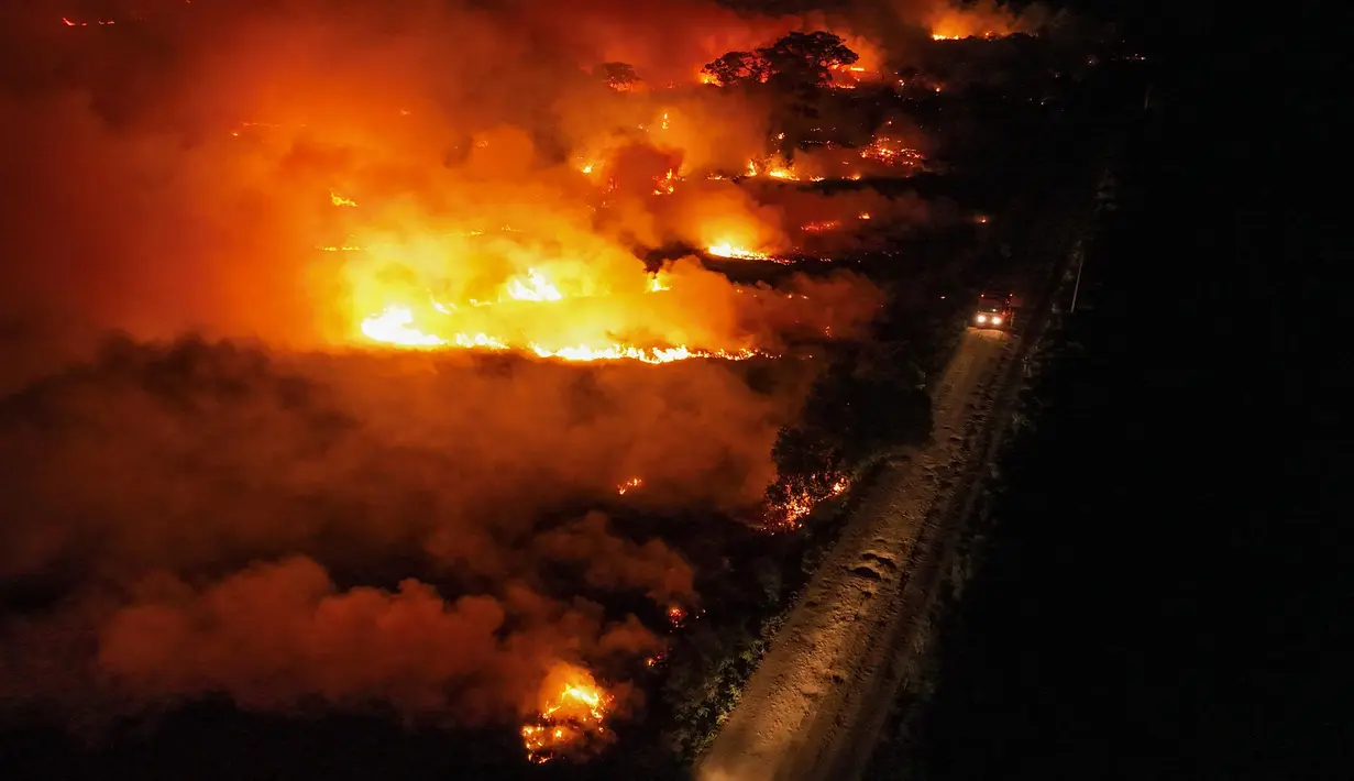 Cuaca panas yang tinggi menyebabkan kebakaran hutan meluas di bioma Pantanal, lahan basah tropis terbesar di dunia. (AP Photo/Andre Penner)