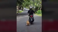 Video viral seorang ibu-ibu seret seekor anjing kecil saat mengendarai sepeda motor. (source: Instagram @nangbryan_adventure)