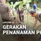 Cegah Erosi dan Dukung Eco-Green, YPP Emtek Tanam Ratusan Pohon Jati di Bogor